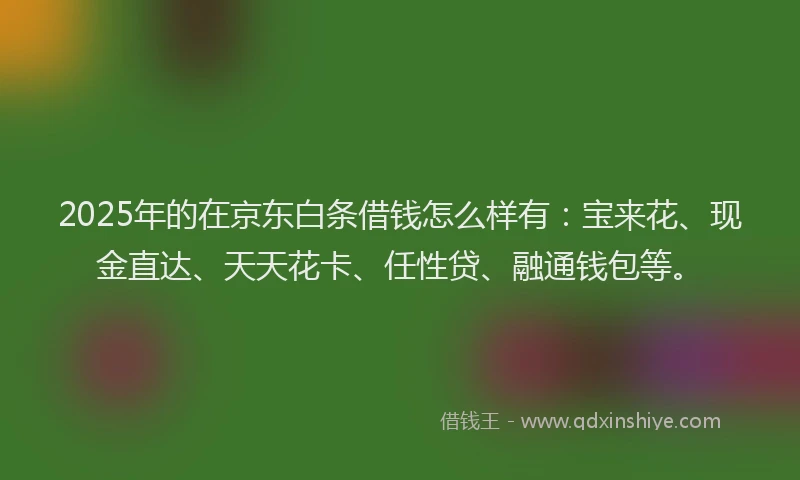 2025年的在京东白条借钱怎么样有：宝来花、现金直达、天天花卡、任性贷、融通钱包等。