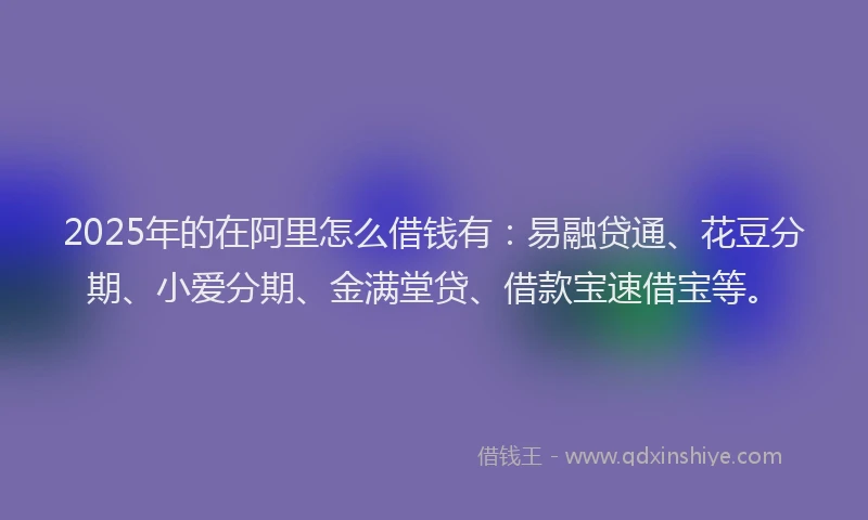 2025年的在阿里怎么借钱有：易融贷通、花豆分期、小爱分期、金满堂贷、借款宝速借宝等。