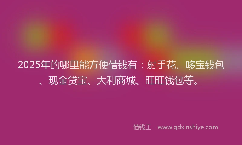 2025年的哪里能方便借钱有：射手花、哆宝钱包、现金贷宝、大利商城、旺旺钱包等。