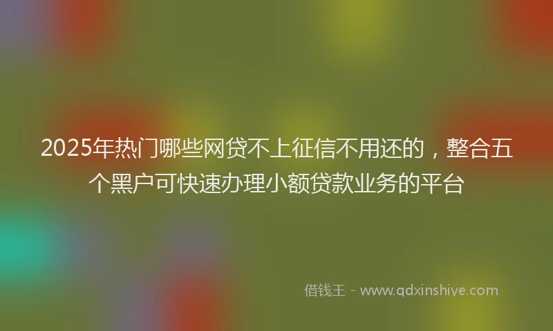 2025年热门哪些网贷不上征信不用还的，整合五个黑户可快速办理小额贷款业务的平台