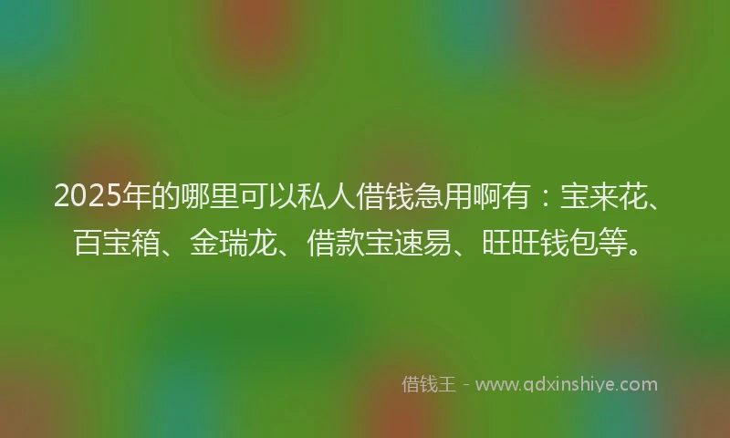 2025年的哪里可以私人借钱急用啊有：宝来花、百宝箱、金瑞龙、借款宝速易、旺旺钱包等。