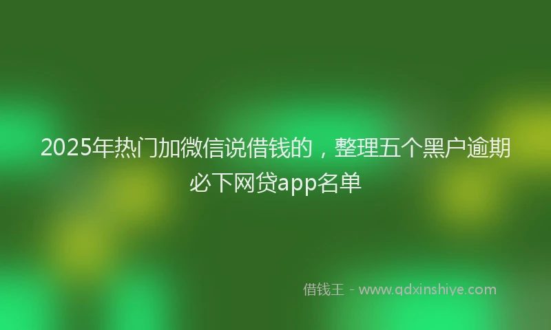 2025年热门加微信说借钱的，整理五个黑户逾期必下网贷app名单