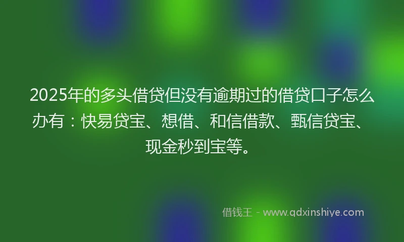2025年的多头借贷但没有逾期过的借贷口子怎么办有：快易贷宝、想借、和信借款、甄信贷宝、现金秒到宝等。