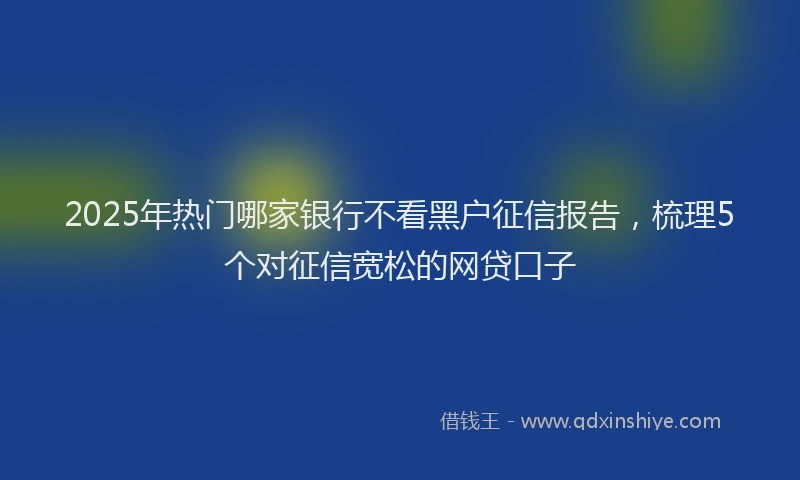 2025年热门哪家银行不看黑户征信报告，梳理5个对征信宽松的网贷口子