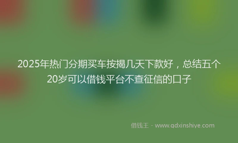 2025年热门分期买车按揭几天下款好，总结五个20岁可以借钱平台不查征信的口子