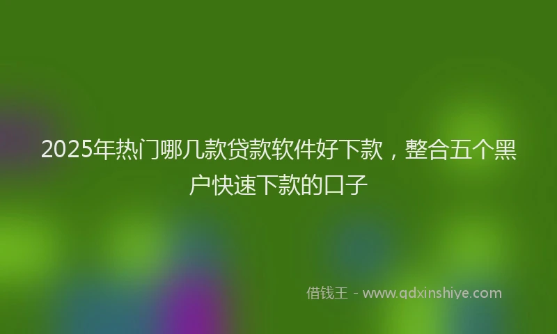 2025年热门哪几款贷款软件好下款，整合五个黑户快速下款的口子