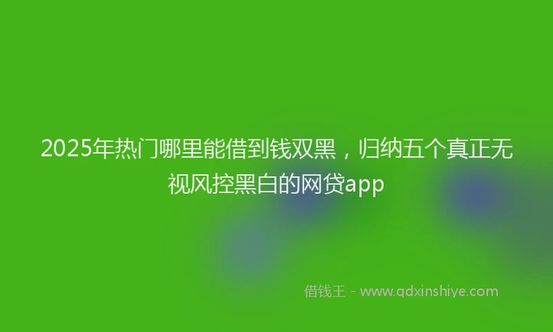 2025年热门哪里能借到钱双黑，归纳五个真正无视风控黑白的网贷app