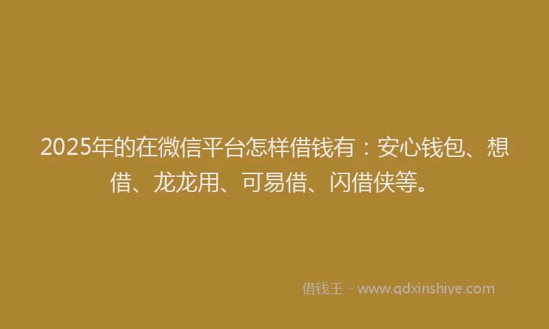 2025年的在微信平台怎样借钱有：安心钱包、想借、龙龙用、可易借、闪借侠等。