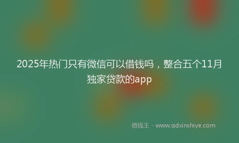 2025年热门只有微信可以借钱吗，整合五个11月独家贷款的app