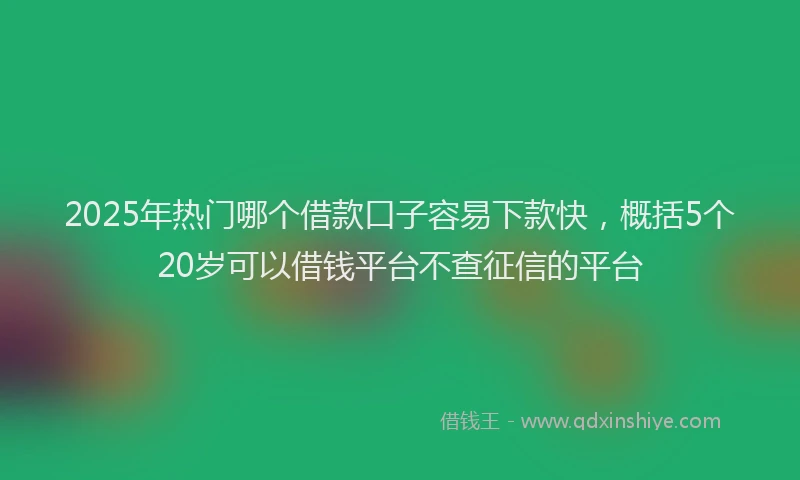 2025年热门哪个借款口子容易下款快，概括5个20岁可以借钱平台不查征信的平台