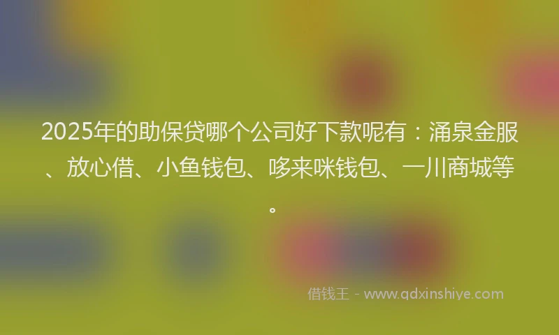 2025年的助保贷哪个公司好下款呢有：涌泉金服、放心借、小鱼钱包、哆来咪钱包、一川商城等。