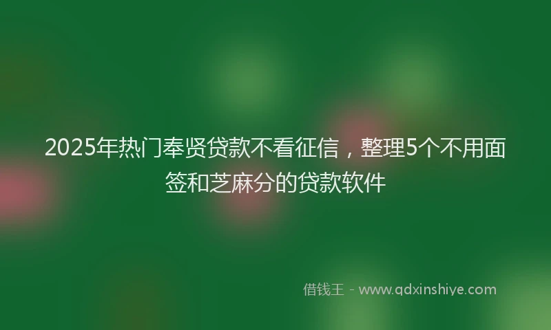 2025年热门奉贤贷款不看征信，整理5个不用面签和芝麻分的贷款软件
