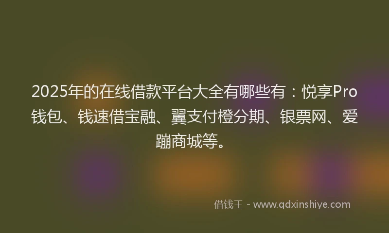 2025年的在线借款平台大全有哪些有：悦享Pro钱包、钱速借宝融、翼支付橙分期、银票网、爱蹦商城等。