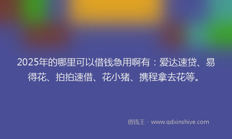 2025年的哪里可以借钱急用啊有：爱达速贷、易得花、拍拍速借、花小猪、携程拿去花等。