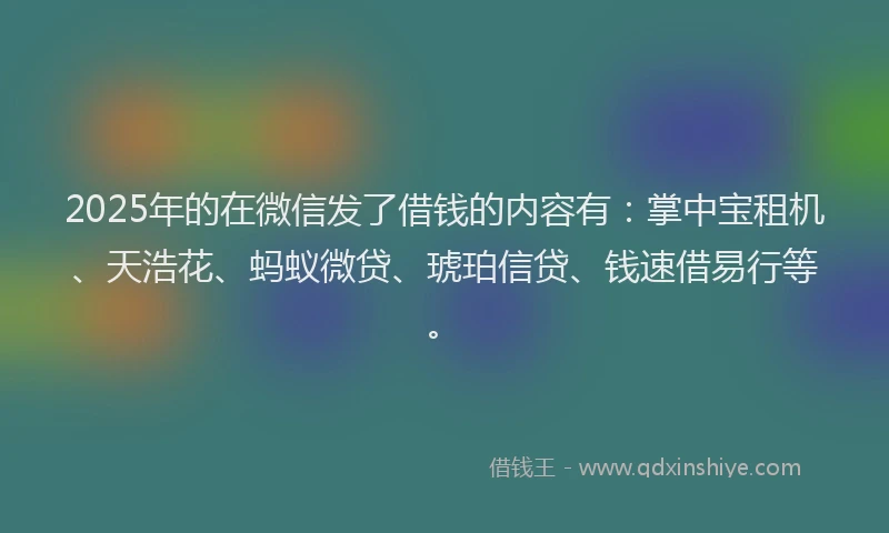 2025年的在微信发了借钱的内容有：掌中宝租机、天浩花、蚂蚁微贷、琥珀信贷、钱速借易行等。