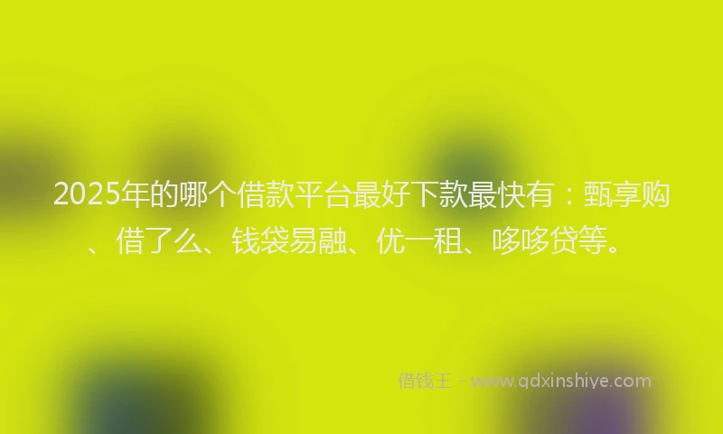 2025年的哪个借款平台最好下款最快有：甄享购、借了么、钱袋易融、优一租、哆哆贷等。