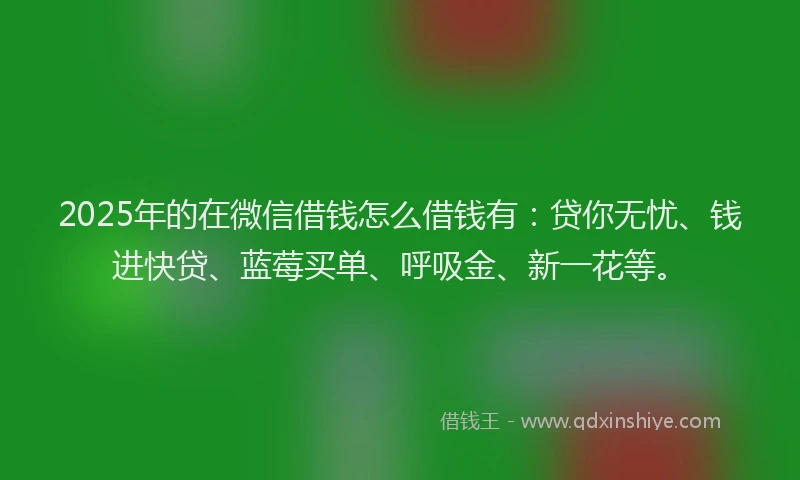 2025年的在微信借钱怎么借钱有：贷你无忧、钱进快贷、蓝莓买单、呼吸金、新一花等。