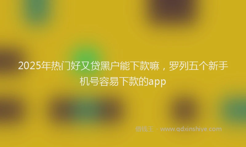 2025年热门好又贷黑户能下款嘛，罗列五个新手机号容易下款的app