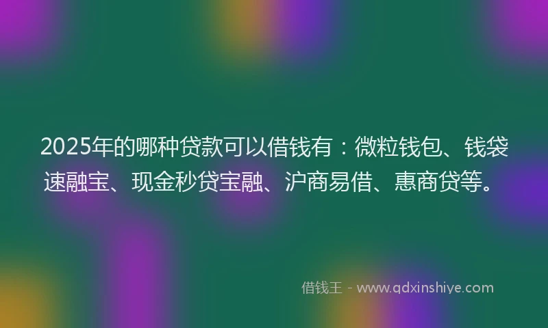 2025年的哪种贷款可以借钱有：微粒钱包、钱袋速融宝、现金秒贷宝融、沪商易借、惠商贷等。