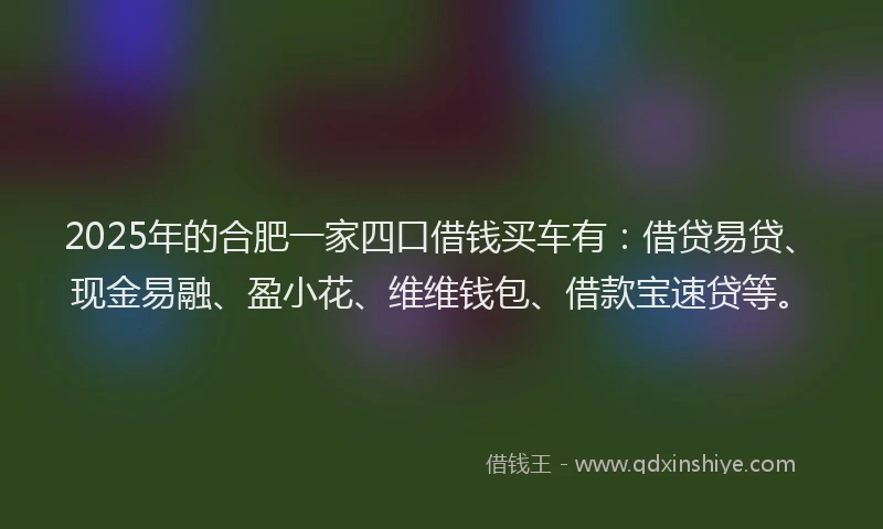 2025年的合肥一家四口借钱买车有：借贷易贷、现金易融、盈小花、维维钱包、借款宝速贷等。