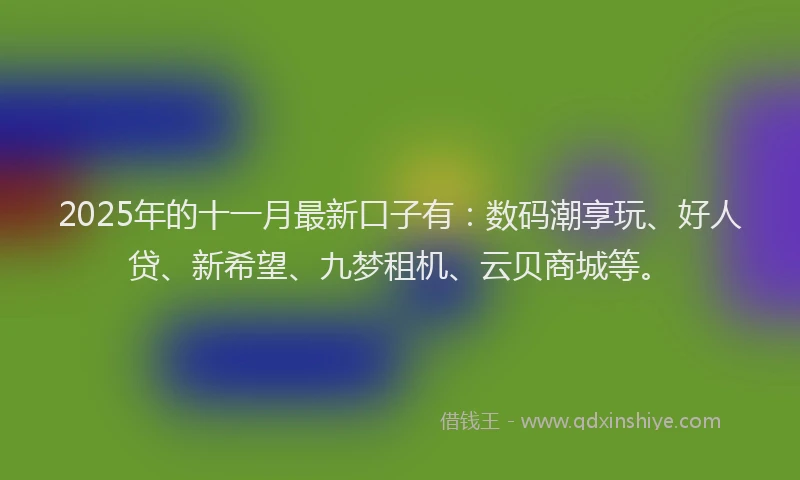 2025年的十一月最新口子有：数码潮享玩、好人贷、新希望、九梦租机、云贝商城等。