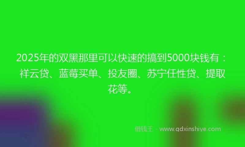 2025年的双黑那里可以快速的搞到5000块钱有：祥云贷、蓝莓买单、投友圈、苏宁任性贷、提取花等。