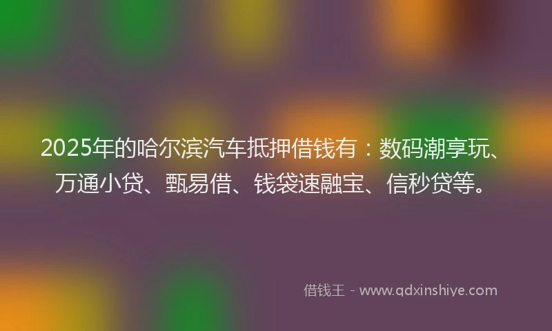 2025年的哈尔滨汽车抵押借钱有：数码潮享玩、万通小贷、甄易借、钱袋速融宝、信秒贷等。