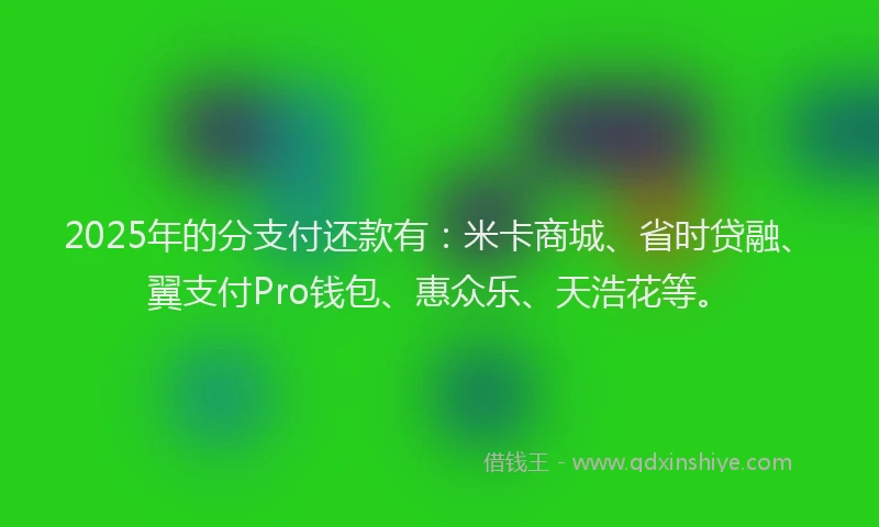 2025年的分支付还款有：米卡商城、省时贷融、翼支付Pro钱包、惠众乐、天浩花等。