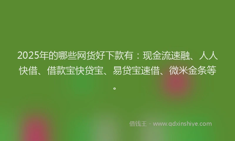2025年的哪些网货好下款有：现金流速融、人人快借、借款宝快贷宝、易贷宝速借、微米金条等。