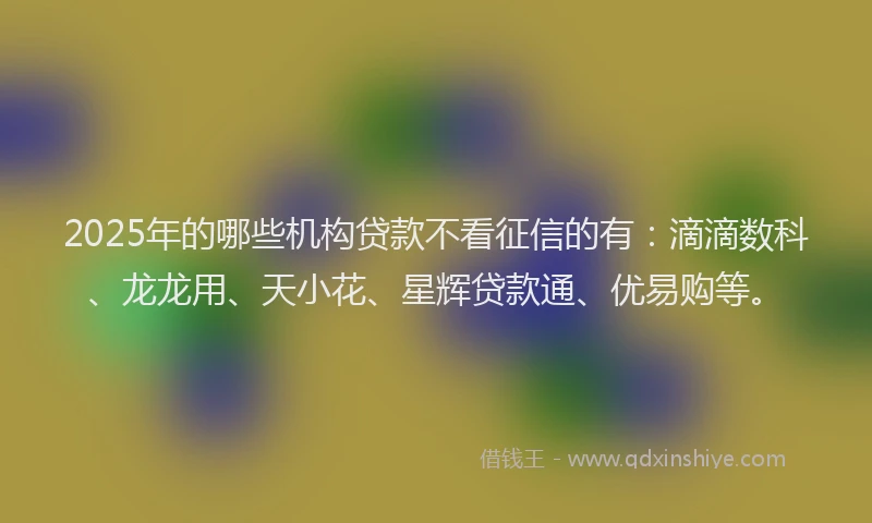 2025年的哪些机构贷款不看征信的有：滴滴数科、龙龙用、天小花、星辉贷款通、优易购等。