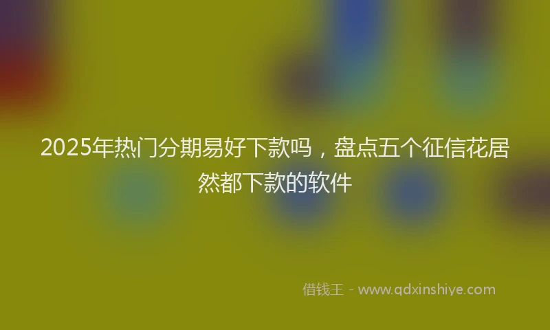 2025年热门分期易好下款吗，盘点五个征信花居然都下款的软件