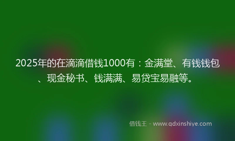 2025年的在滴滴借钱1000有：金满堂、有钱钱包、现金秘书、钱满满、易贷宝易融等。