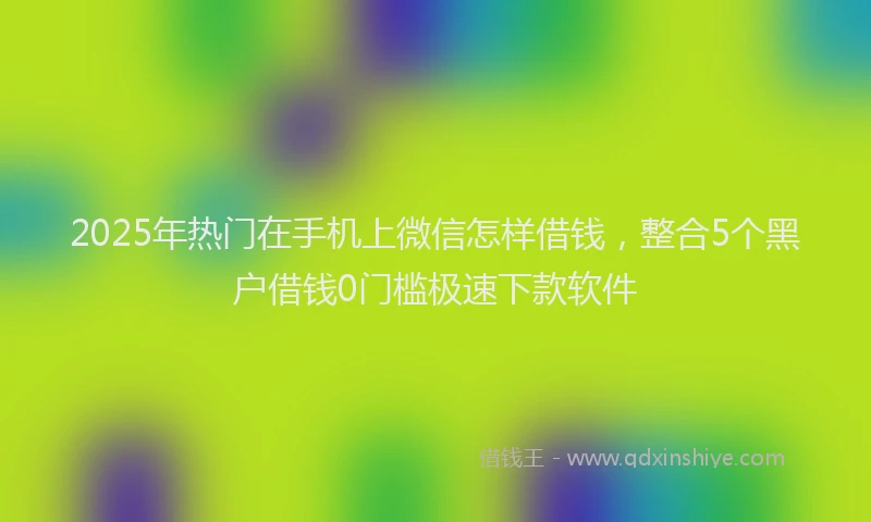 2025年热门在手机上微信怎样借钱，整合5个黑户借钱0门槛极速下款软件