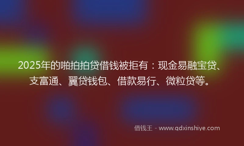 2025年的啪拍拍贷借钱被拒有：现金易融宝贷、支富通、翼贷钱包、借款易行、微粒贷等。
