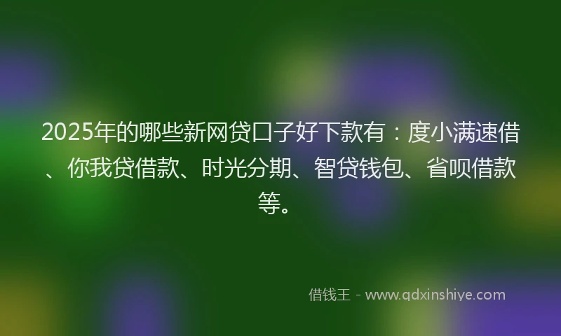 2025年的哪些新网贷口子好下款有：度小满速借、你我贷借款、时光分期、智贷钱包、省呗借款等。