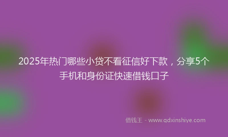 2025年热门哪些小贷不看征信好下款，分享5个手机和身份证快速借钱口子