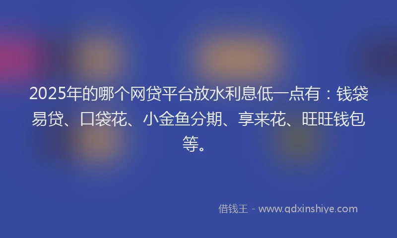 2025年的哪个网贷平台放水利息低一点有：钱袋易贷、口袋花、小金鱼分期、享来花、旺旺钱包等。