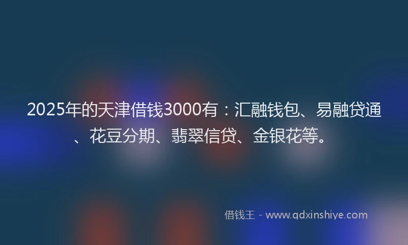 2025年的天津借钱3000有：汇融钱包、易融贷通、花豆分期、翡翠信贷、金银花等。