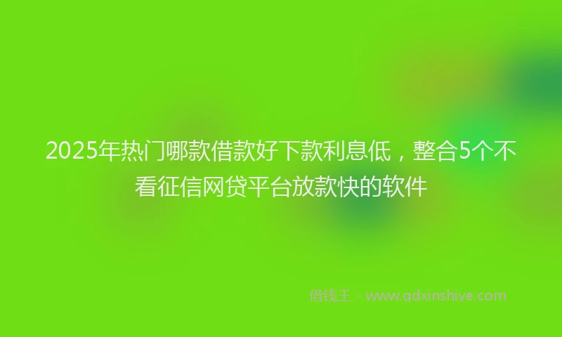 2025年热门哪款借款好下款利息低，整合5个不看征信网贷平台放款快的软件