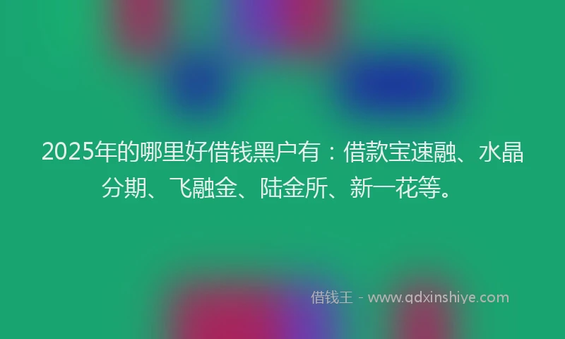 2025年的哪里好借钱黑户有：借款宝速融、水晶分期、飞融金、陆金所、新一花等。