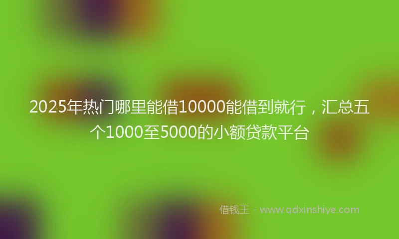 2025年热门哪里能借10000能借到就行，汇总五个1000至5000的小额贷款平台