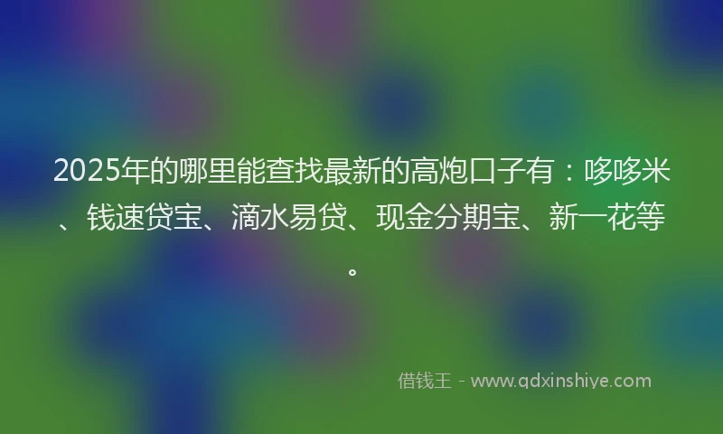 2025年的哪里能查找最新的高炮口子有：哆哆米、钱速贷宝、滴水易贷、现金分期宝、新一花等。
