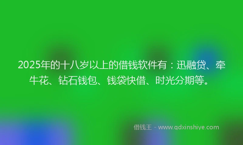 2025年的十八岁以上的借钱软件有：迅融贷、牵牛花、钻石钱包、钱袋快借、时光分期等。