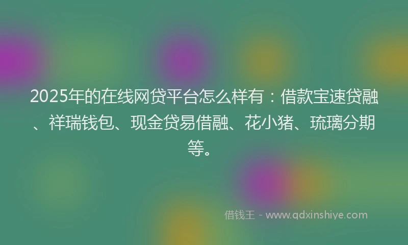2025年的在线网贷平台怎么样有：借款宝速贷融、祥瑞钱包、现金贷易借融、花小猪、琉璃分期等。