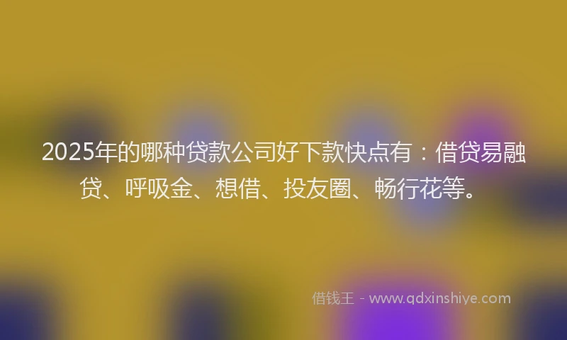 2025年的哪种贷款公司好下款快点有：借贷易融贷、呼吸金、想借、投友圈、畅行花等。