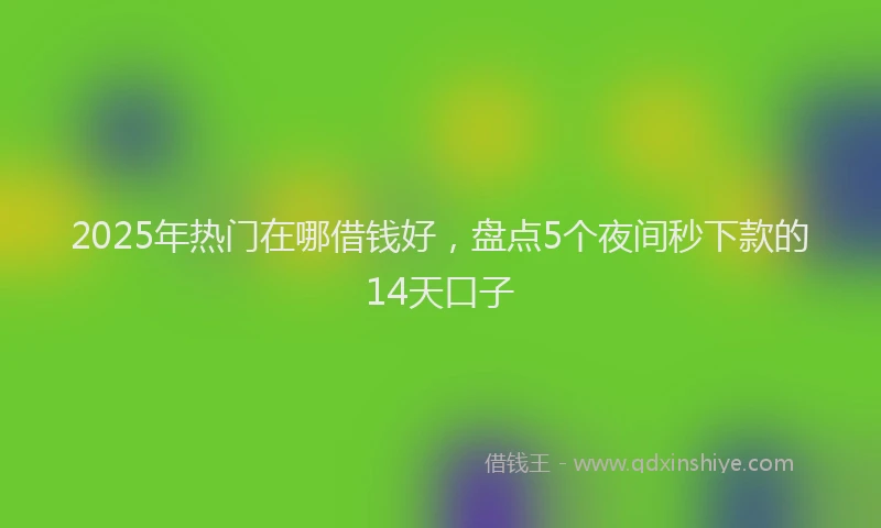 2025年热门在哪借钱好，盘点5个夜间秒下款的14天口子