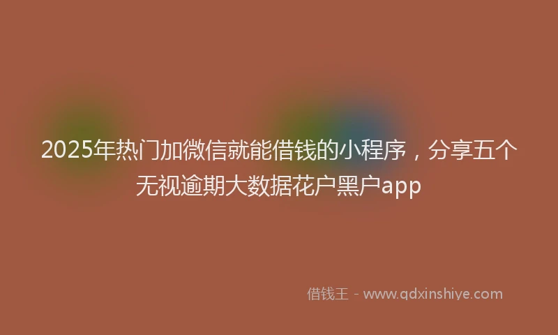 2025年热门加微信就能借钱的小程序，分享五个无视逾期大数据花户黑户app