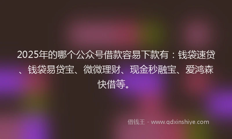 2025年的哪个公众号借款容易下款有：钱袋速贷、钱袋易贷宝、微微理财、现金秒融宝、爱鸿森快借等。