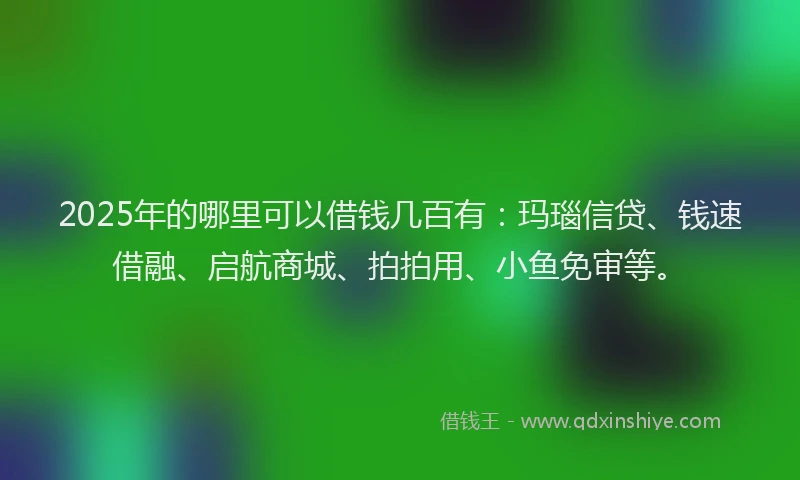 2025年的哪里可以借钱几百有：玛瑙信贷、钱速借融、启航商城、拍拍用、小鱼免审等。