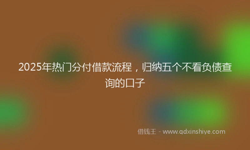 2025年热门分付借款流程，归纳五个不看负债查询的口子